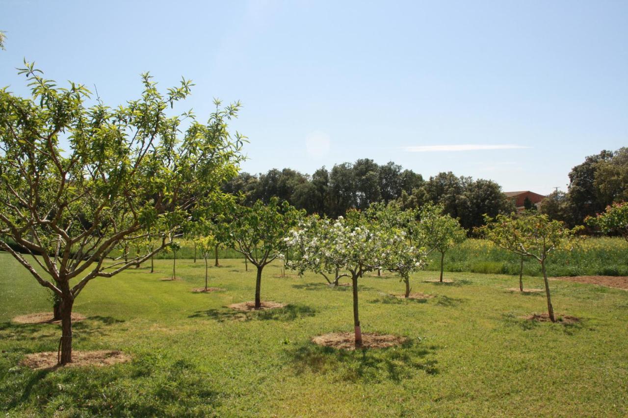Masia Rural Can Poch Pals Exterior foto